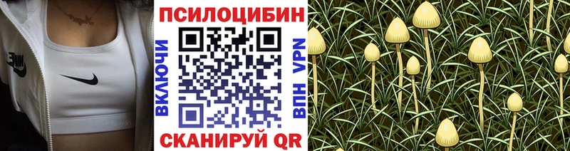 Галлюциногенные грибы Cubensis  darknet наркотические препараты  Челябинск 